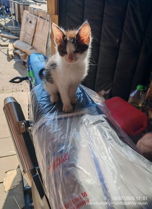 WhatsApp Image 2025-11-03 at 13.32.07